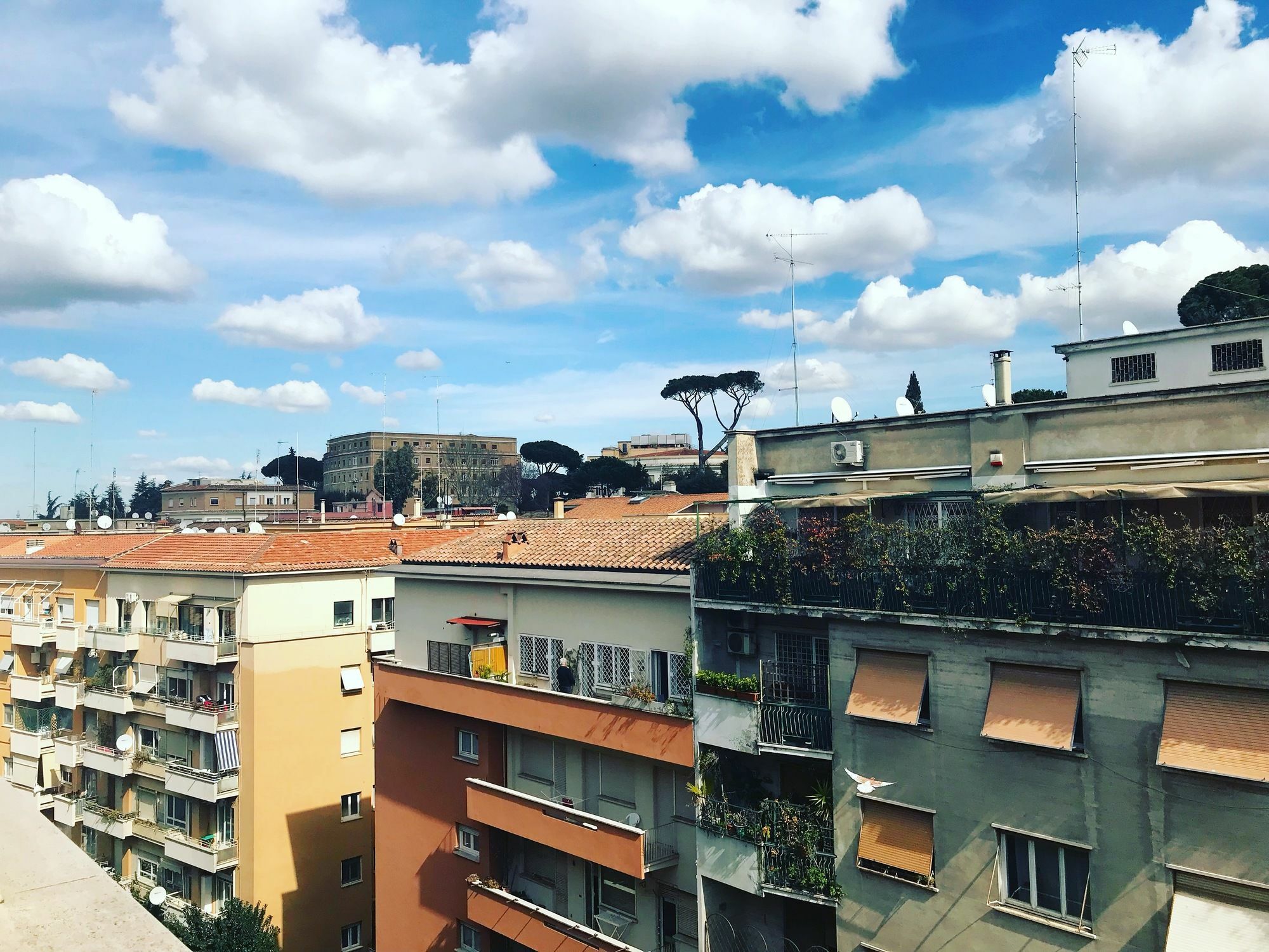 شقة Charming Vatican روما المظهر الخارجي الصورة